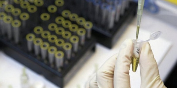 Ученые разработали камеру, которая может видеть сквозь тело человека