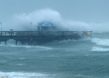 «Ирма» во Флориде: уже известно о 4 жертвах урагана