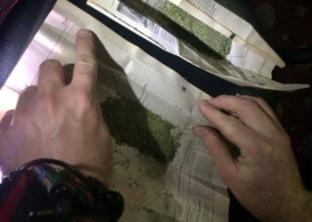 В Николаеве патрульные задержали парня с пакетами конопли. Говорят – в игорном заведении