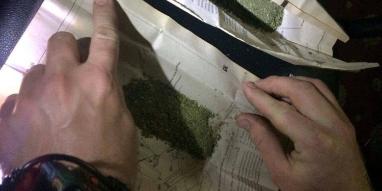 В Николаеве патрульные задержали парня с пакетами конопли. Говорят – в игорном заведении