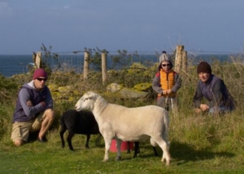 Жизнь и работа. Во Франции ищут супружескую пару для жизни на необитаемом острове