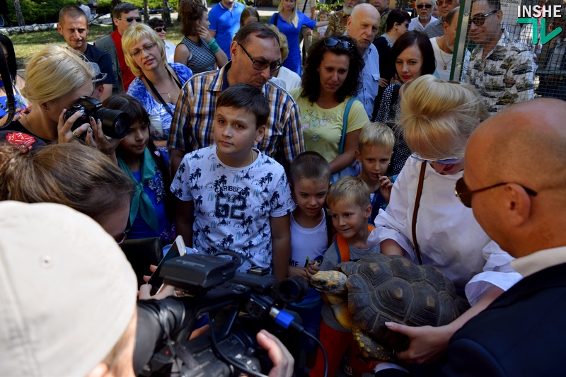 Когда «квартира» хороша, то и род продолжать хочется: тропические черепахи по достоинству оценили новый вольер, открытый в день 116-летия Николаевского зоопарка 39
