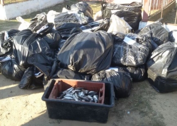 Пограничники провели обыски у инспекторов рыбного патруля и их подшефных: изъято 320 сетей и рыбы с креветками на 1,2 млн.грн