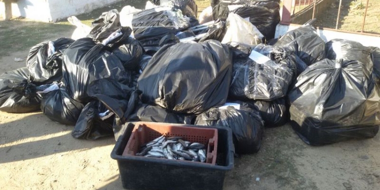 Пограничники провели обыски у инспекторов рыбного патруля и их подшефных: изъято 320 сетей и рыбы с креветками на 1,2 млн.грн