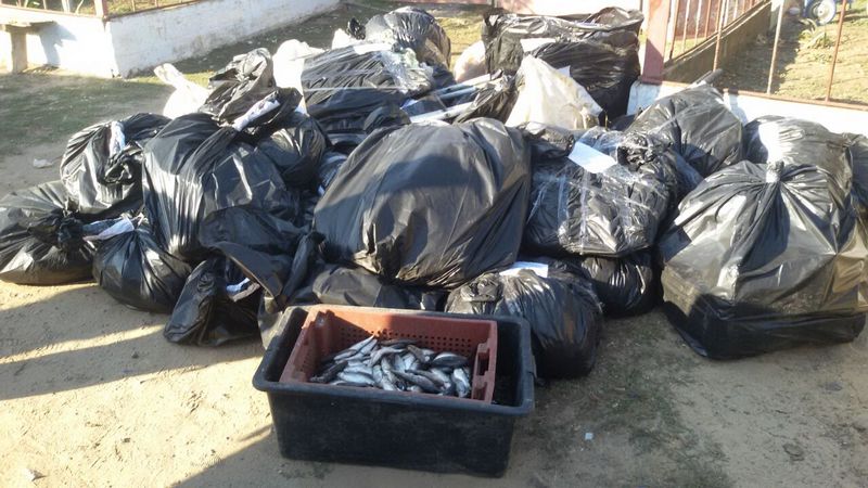 Пограничники провели обыски у инспекторов рыбного патруля и их подшефных: изъято 320 сетей и рыбы с креветками на 1,2 млн.грн 9