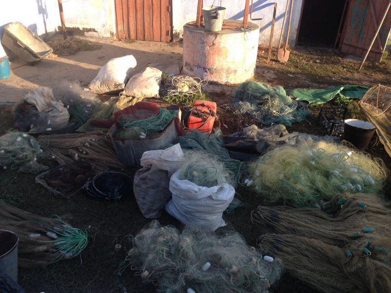 Пограничники провели обыски у инспекторов рыбного патруля и их подшефных: изъято 320 сетей и рыбы с креветками на 1,2 млн.грн 5