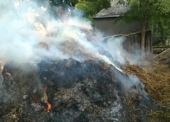 Сухая осень. В Николаевской области горит трава и хозпостройки