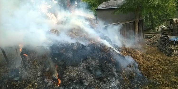 Сухая осень. В Николаевской области горит трава и хозпостройки