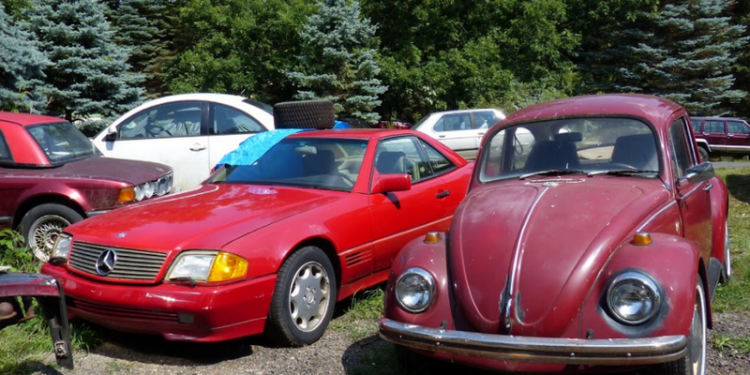 По 20 авто в месяц: власти заставили коллекционера продать все машины