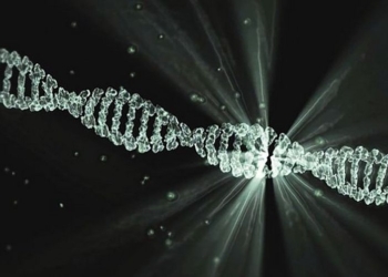 Ученые обнаружили мутацию, отвечающую за интеллект человека