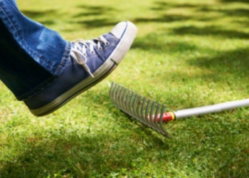 Грабли как абсолют: ФГВЛ нашел одного украинца, который получал возмещение в 15 лопнувших банках