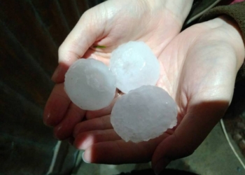 В Бердичеве град размером с гусиное яйцо крушил окна и машины