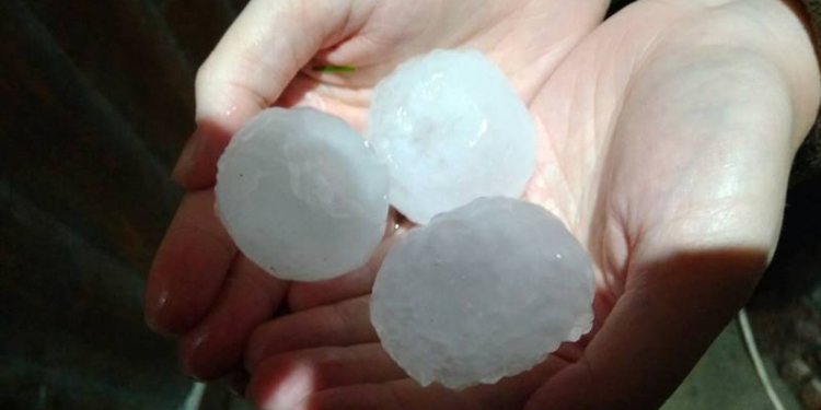 В Бердичеве град размером с гусиное яйцо крушил окна и машины