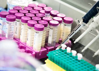 Пластиковую упаковку могут заменить биоматериалом – из панцырей лобстеров, крабов и креветок