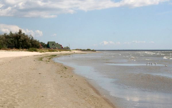 В Рыбаковке администрация незаконно передала под застройку 11 га земли стоимостью 6,2 млн. гривен