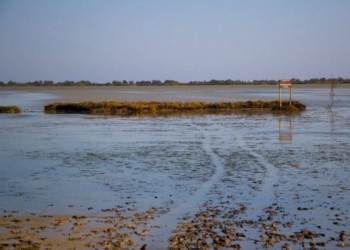 В Одесской области построили искусственный остров для гнездования водоплавающих птиц