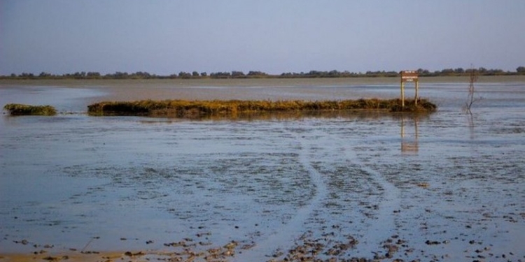 В Одесской области построили искусственный остров для гнездования водоплавающих птиц