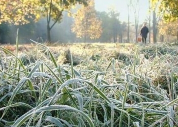 Прогноз погоды Николаевского гидрометеоцентра: заморозки на почве уже этой ночью, но октябрь – в рамках нормы