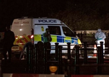 Ошибка навигатора привела “террориста с мечом” не в Виндзорский замок, а в паб