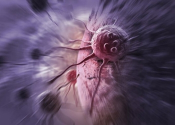 Раковые клетки научились нейтрализовать действие химиотерапии с помощью бактерий – ученые