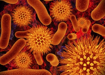 В США изобрели устройство, которое определяет рак за 10 секунд