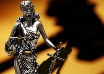 В Одесской области построили искусственный остров для гнездования водоплавающих птиц