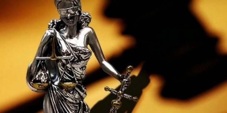 В Одесской области построили искусственный остров для гнездования водоплавающих птиц