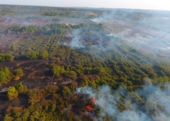В Черкасской области пятые сутки тушат торфяной пожар
