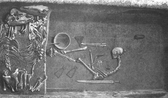 Известный викинг Х века оказался женщиной