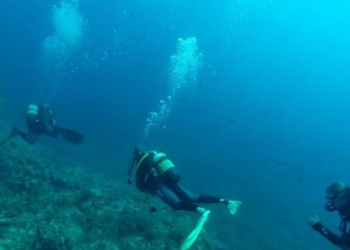 На дне Черного моря нашли десятки древних кораблей