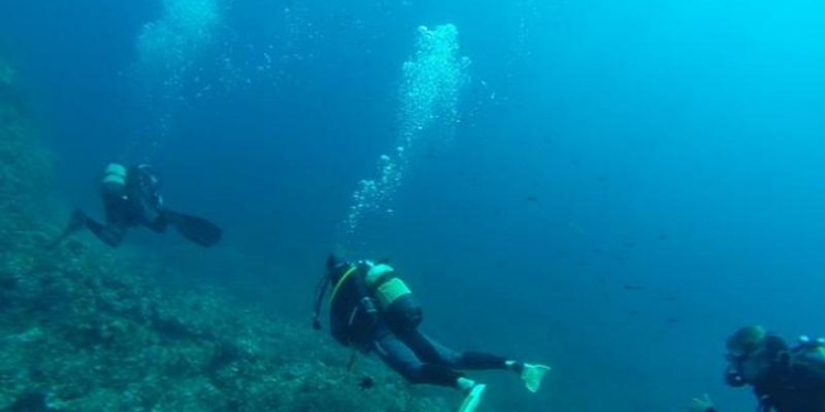 На дне Черного моря нашли десятки древних кораблей