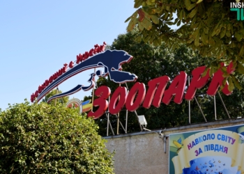 Когда «квартира» хороша, то и род продолжать хочется: тропические черепахи по достоинству оценили новый вольер, открытый в день 116-летия Николаевского зоопарка