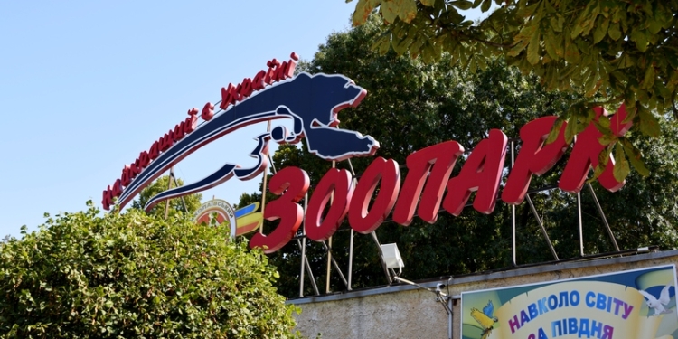 Когда «квартира» хороша, то и род продолжать хочется: тропические черепахи по достоинству оценили новый вольер, открытый в день 116-летия Николаевского зоопарка