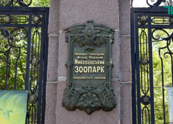 Когда «квартира» хороша, то и род продолжать хочется: тропические черепахи по достоинству оценили новый вольер, открытый в день 116-летия Николаевского зоопарка