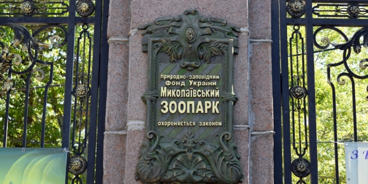 Когда «квартира» хороша, то и род продолжать хочется: тропические черепахи по достоинству оценили новый вольер, открытый в день 116-летия Николаевского зоопарка
