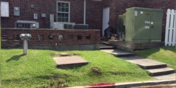 В американском городе Луизиана улицу залило кровью