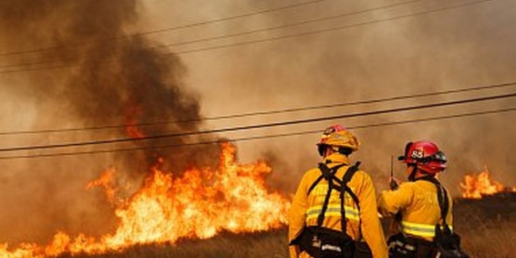 Лесные пожары в Калифорнии: минимум 31 человек погиб, повреждены тысячи домов, предприятий и других зданий
