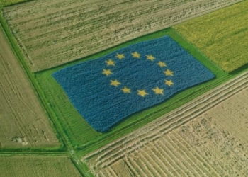 Миграция, Brexit, цифровая экономика – темы саммита ЕС