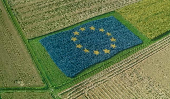 Миграция, Brexit, цифровая экономика – темы саммита ЕС