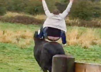 «На коня» – решил англичанин после двух стопок водки. В прямом смысле