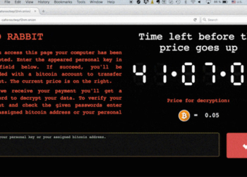 Новый компьютерный вирус Bad Rabbit, атаковавший три страны, похож на Petya