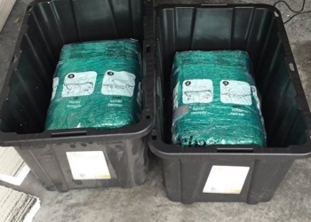 Жизнь бывает интереснее фильма: в США будущие муж и жена заказали по интернету контейнеры для вещей, а получили 30 кг марихуаны