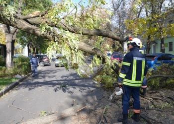 Шквалистый ветер на Николаевщине: в Николаеве падают деревья, а в Снигиревском районе летают металлические конструкции