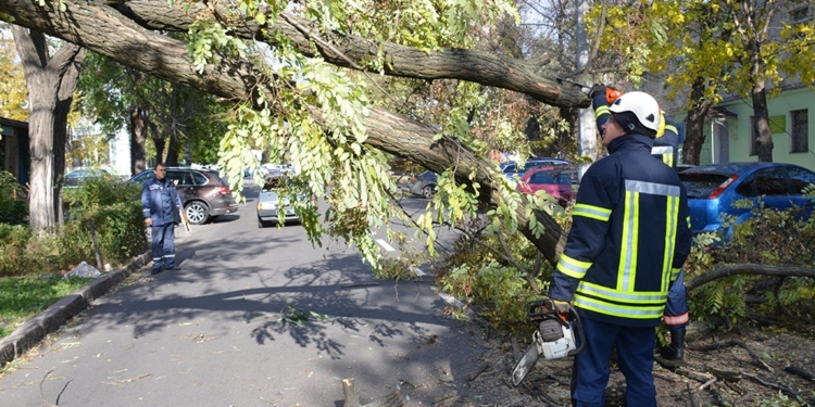 Шквалистый ветер на Николаевщине: в Николаеве падают деревья, а в Снигиревском районе летают металлические конструкции