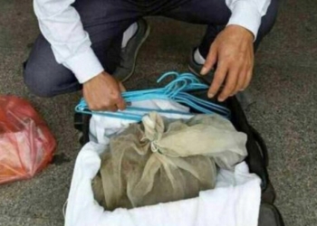 В Китае в поезд не пустили мужчину с 50-ю живыми гадюками – он собирался сделать из них настойку