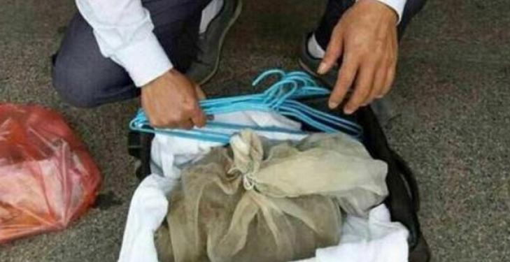 В Китае в поезд не пустили мужчину с 50-ю живыми гадюками – он собирался сделать из них настойку