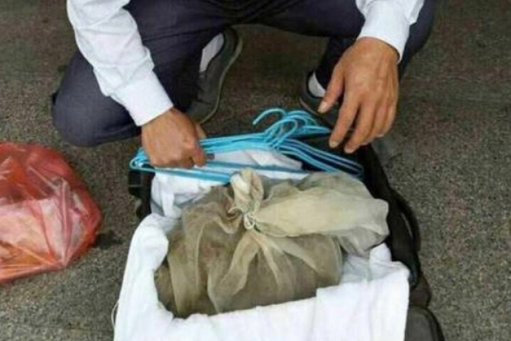В Китае в поезд не пустили мужчину с 50-ю живыми гадюками – он собирался сделать из них настойку 1