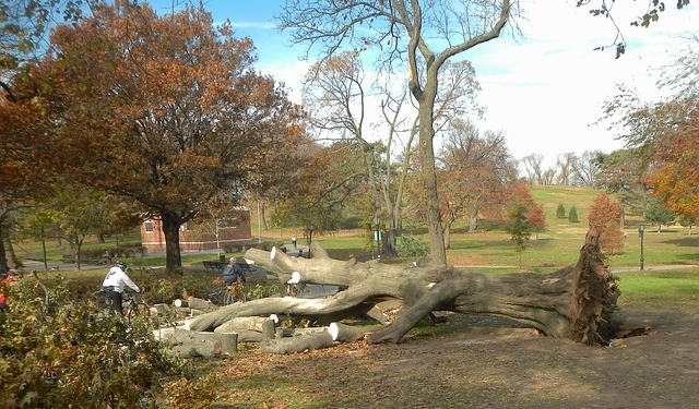 Ураган «Ксавьер» дошел до Польши: как минимум, двое погибших, 39 раненых