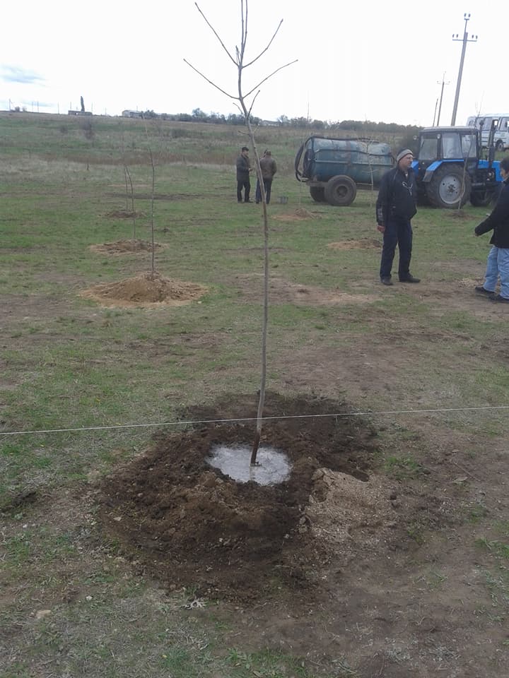 На Николаевщине высадили 127 деревьев в память о выживших узниках концентрационного лагеря 1