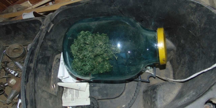 В Николаевской области полицейские изъяли у жительницы Новобугского района наркотики на сумму почти 20 тыс.грн.